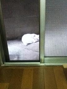 f:id:inseptember:20130902071026j:image