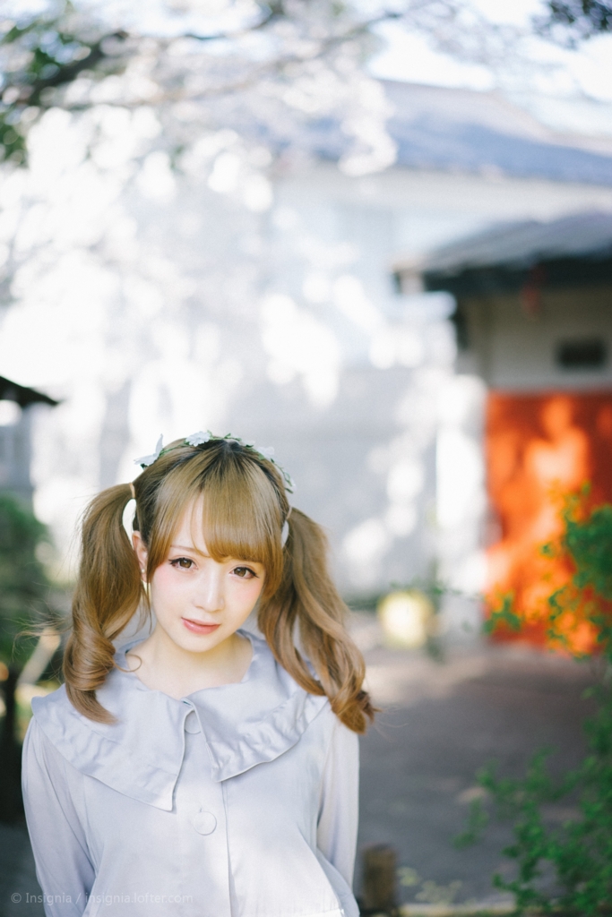 f:id:insigniachiaki:20161224233433j:plain