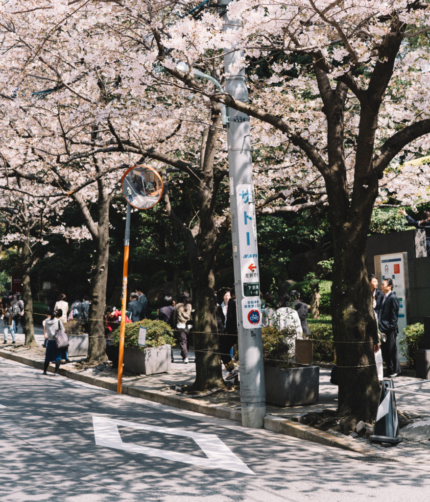 f:id:insigniachiaki:20170413173755j:plain f:id:insigniachiaki:20170413173755j:plain