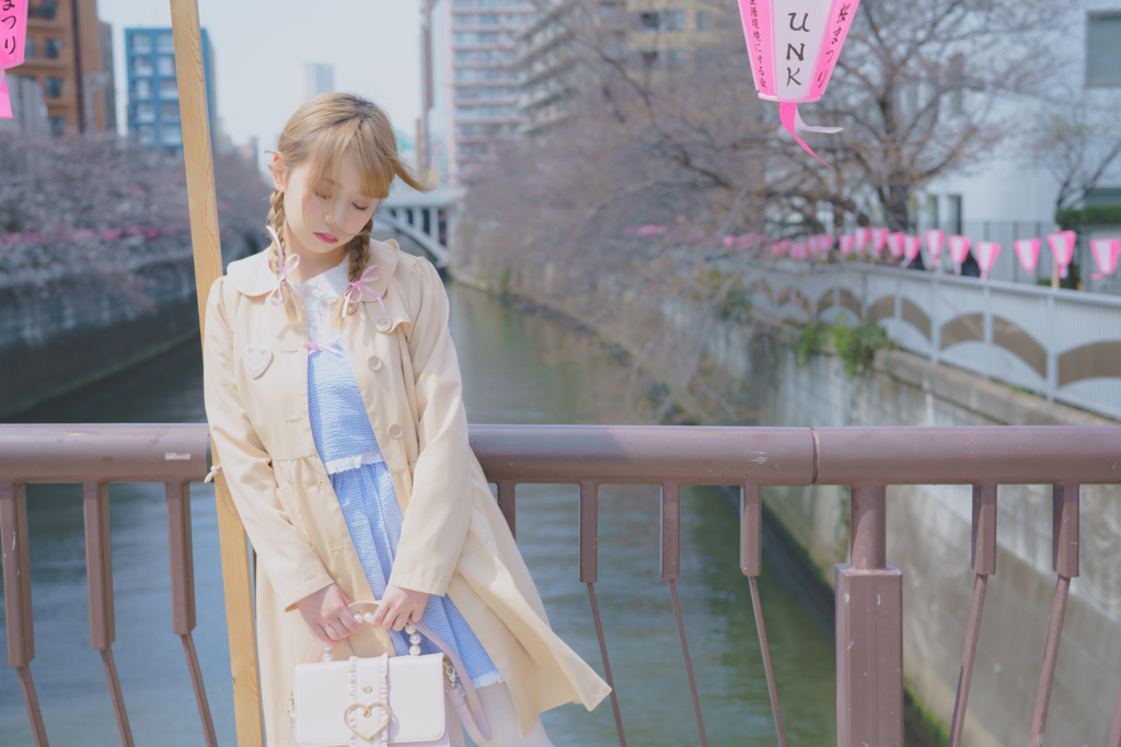 f:id:insigniachiaki:20170413174504j:plain f:id:insigniachiaki:20170413174504j:plain