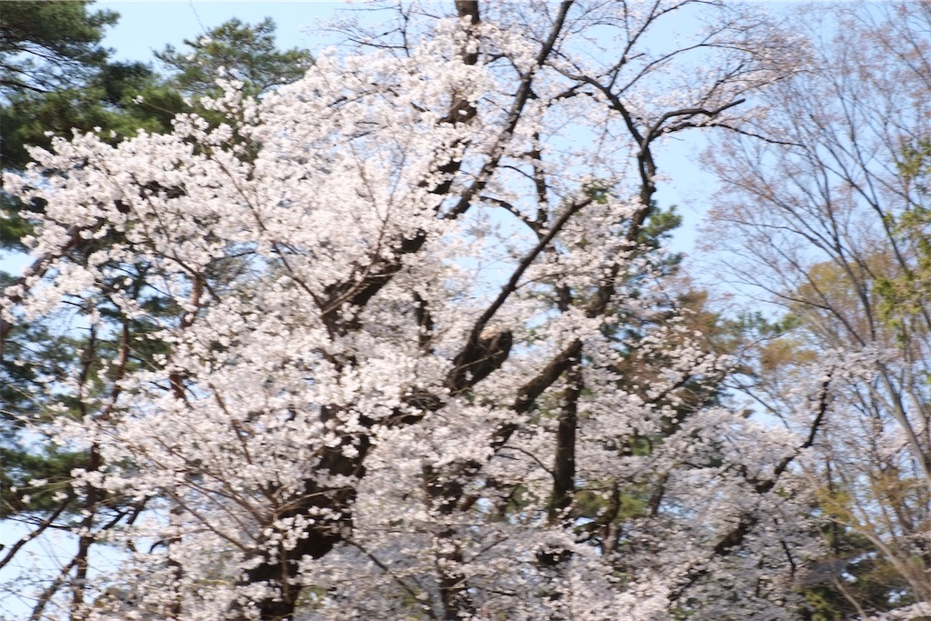 f:id:insto:20260329185833j:image