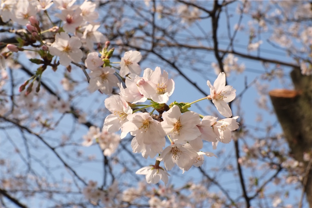 f:id:insto:20260329185853j:image