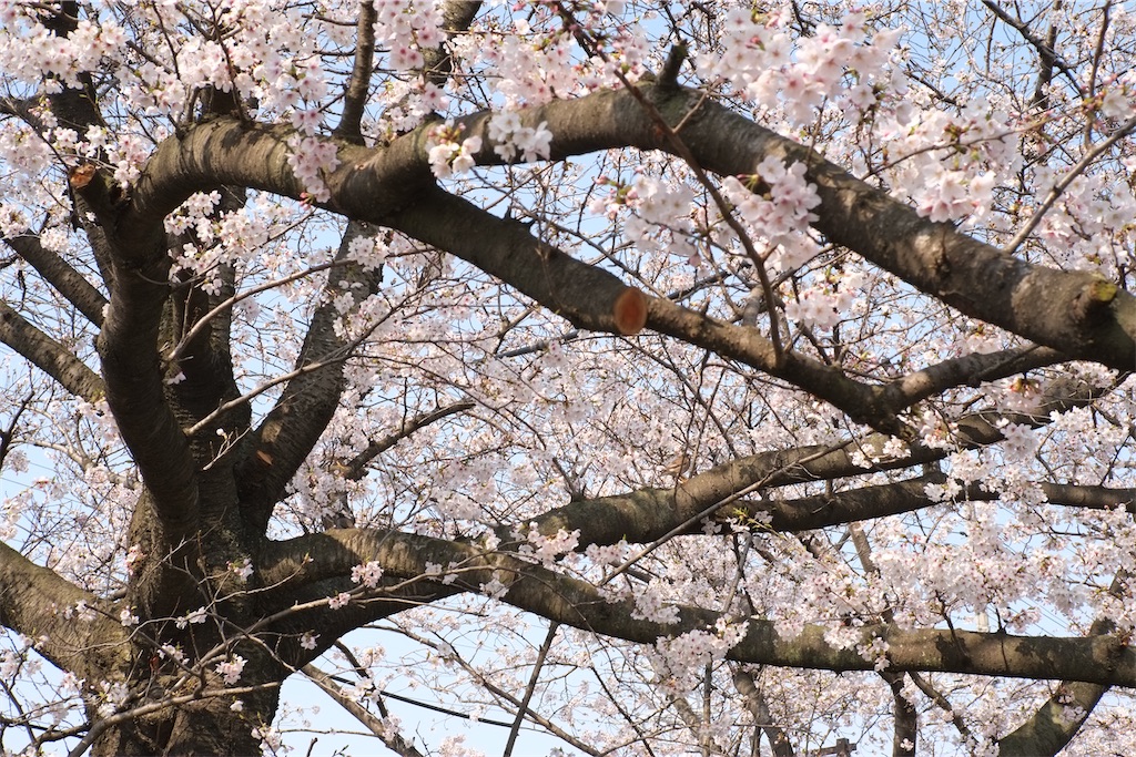 f:id:insto:20260329185911j:image