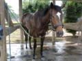 20100625135847