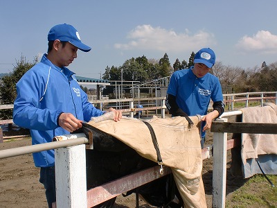 f:id:interactionhorseschool:20120414142422j:image