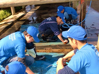 20120414142423