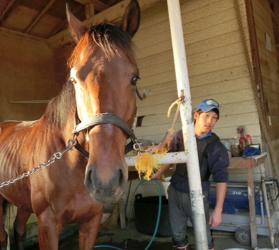 f:id:interactionhorseschool:20131202160612j:image