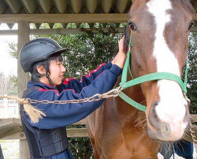 f:id:interactionhorseschool:20131202160614j:image