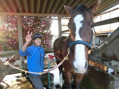 f:id:interactionhorseschool:20131202160615j:image