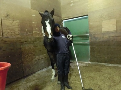 f:id:interactionhorseschool:20140206093339j:image
