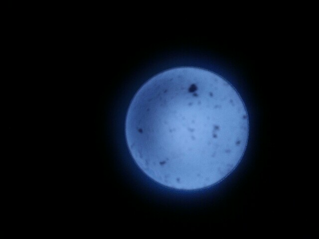 f:id:interestor:20161003113915j:image f:id:interestor:20161003113915j:image