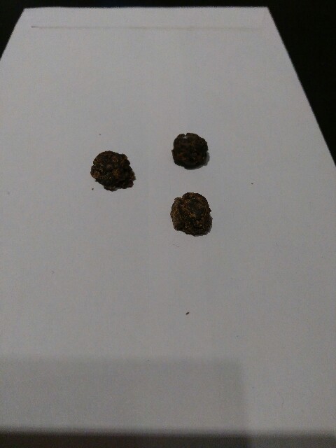 f:id:interestor:20161006184655j:image f:id:interestor:20161006184655j:image