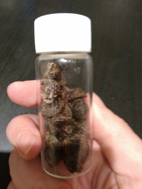 f:id:interestor:20161006184713j:image f:id:interestor:20161006184713j:image