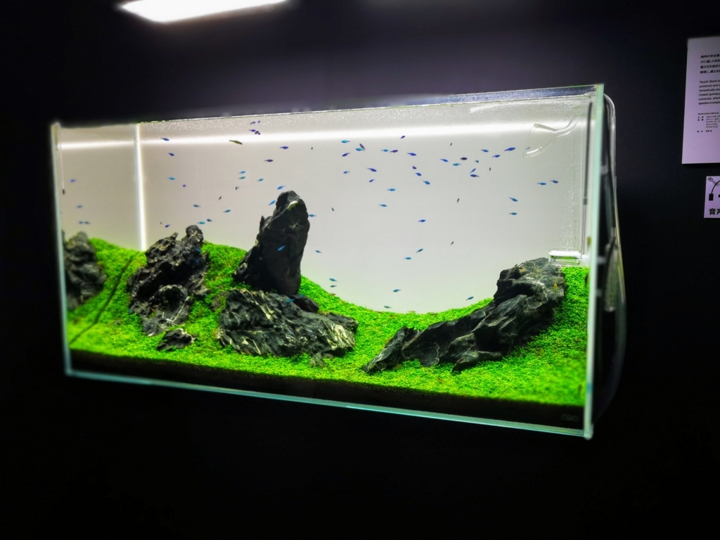 f:id:interestor:20180121134202j:plain