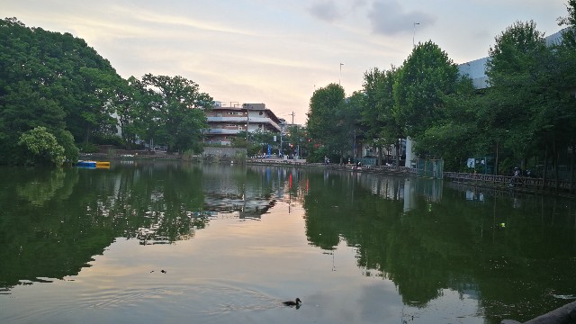 f:id:interestor:20200624105343j:image f:id:interestor:20200624105343j:image
