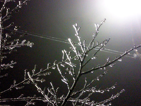 f:id:interlock-web_zettaikagushounen:20100319144130j:image