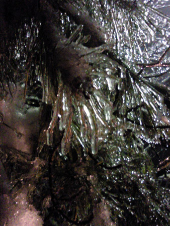 f:id:interlock-web_zettaikagushounen:20100319144131j:image