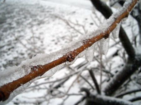 f:id:interlock-web_zettaikagushounen:20100319144132j:image