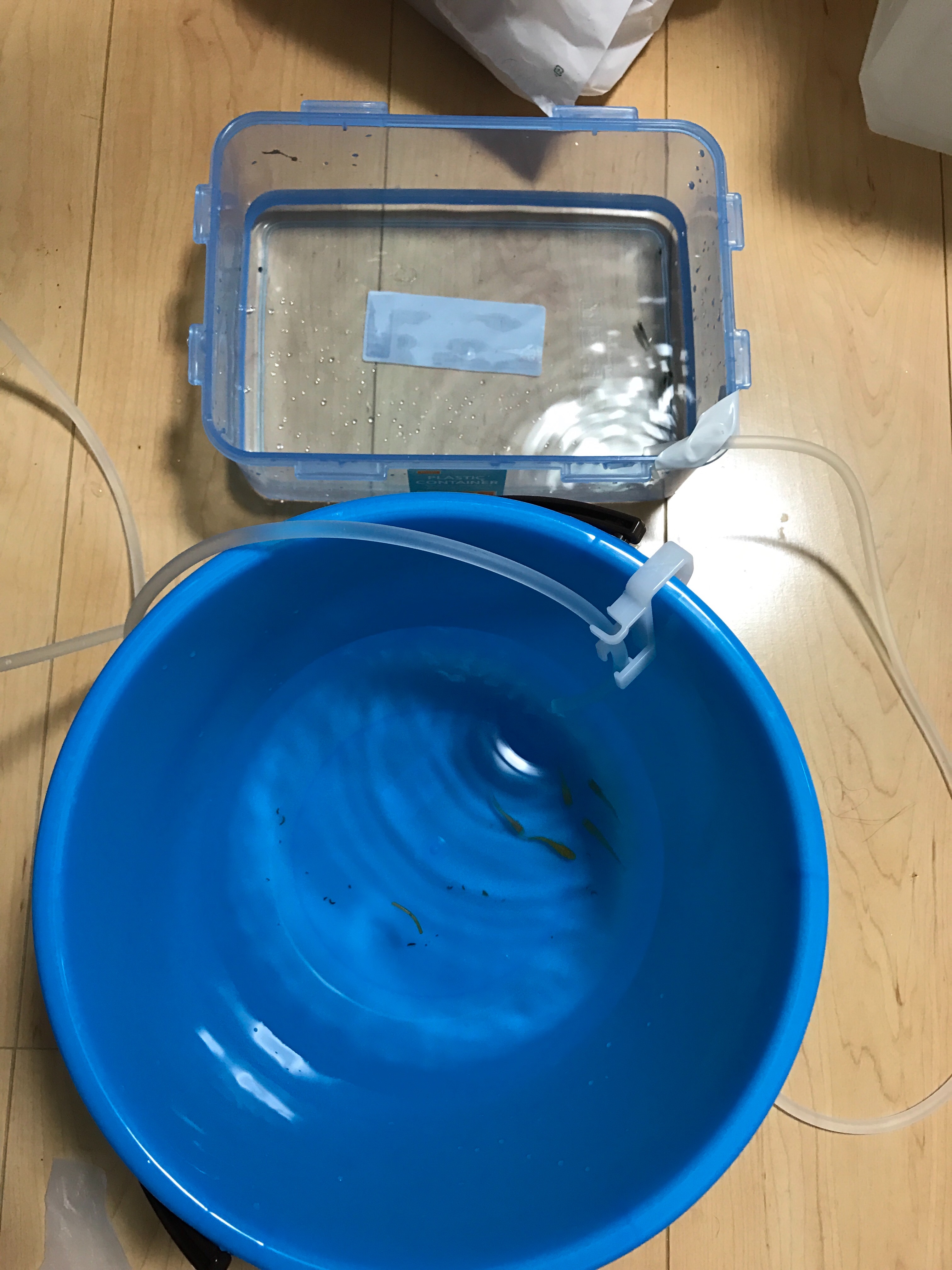 f:id:intermodulation:20161013192246j:image f:id:intermodulation:20161013192246j:image