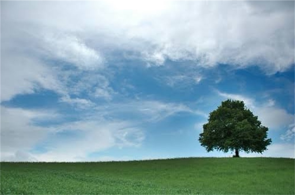 f:id:interpretdiary:20200508011030j:image f:id:interpretdiary:20200508011030j:image
