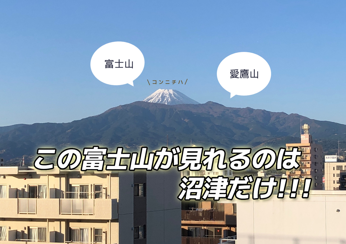 愛鷹ハイネック富士