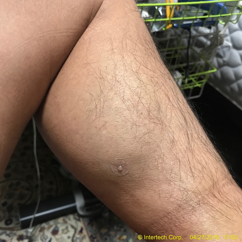 f:id:intertechtokyo:20180428003709j:plain f:id:intertechtokyo:20180428003709j:plain
