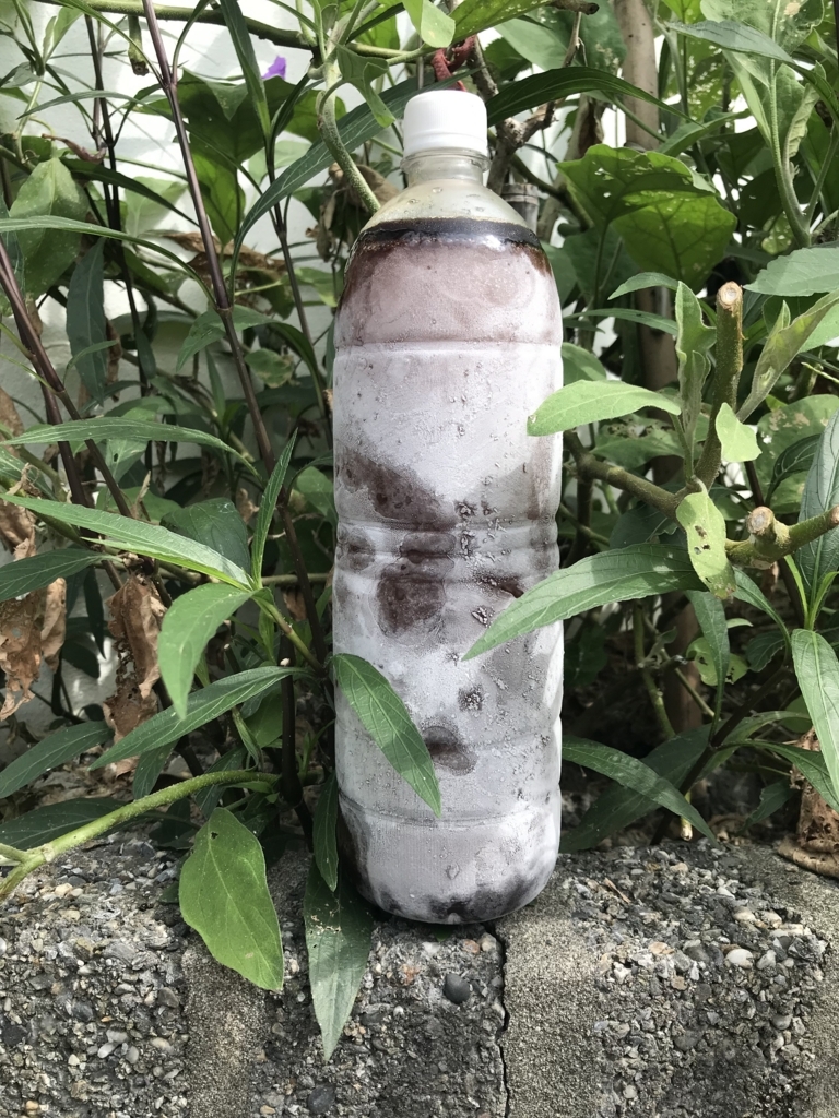 f:id:intertechtokyo:20180813195651j:plain f:id:intertechtokyo:20180813195651j:plain