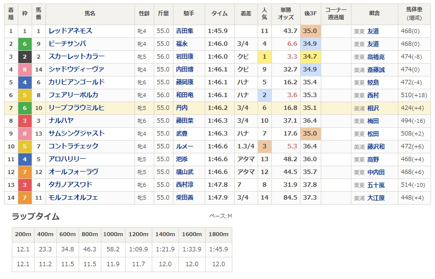 f:id:intiraimi020406:20200802202519j:plain