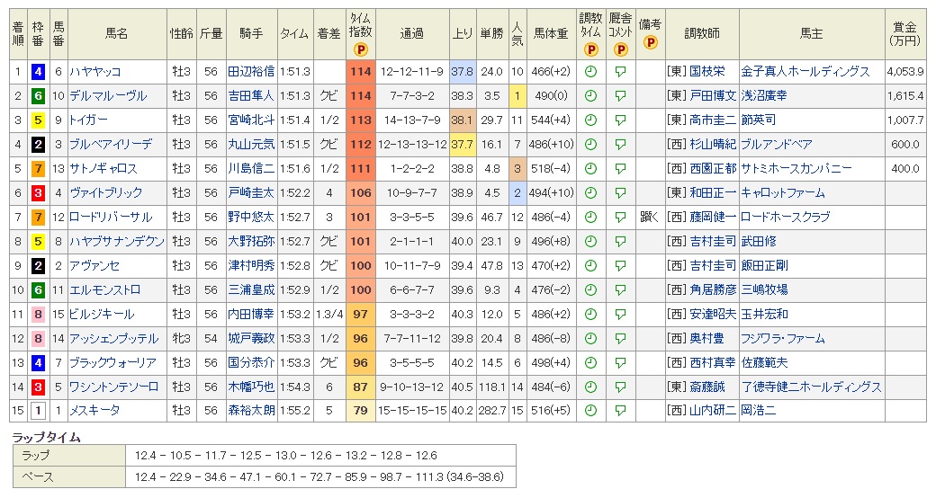 f:id:intiraimi020406:20200805111041j:plain