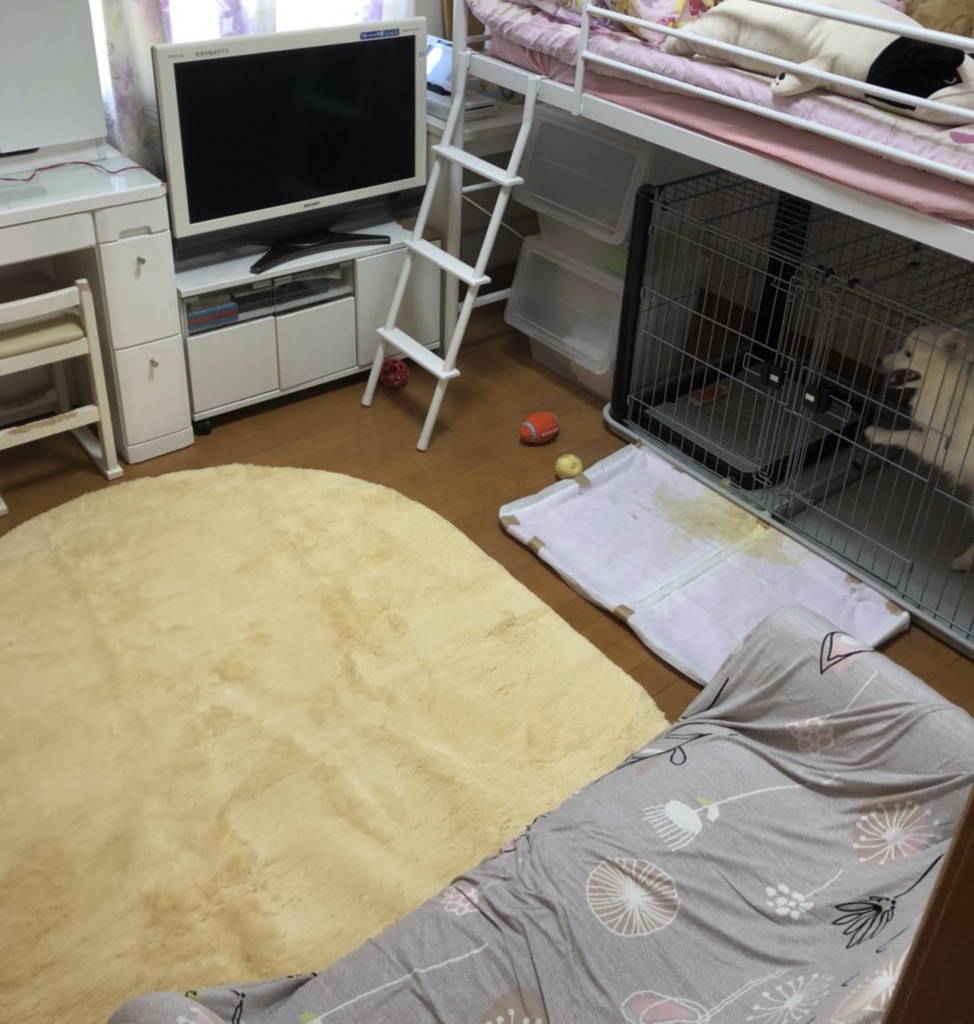 f:id:inu-neko_jyuku:20180612163331j:plain f:id:inu-neko_jyuku:20180612163331j:plain