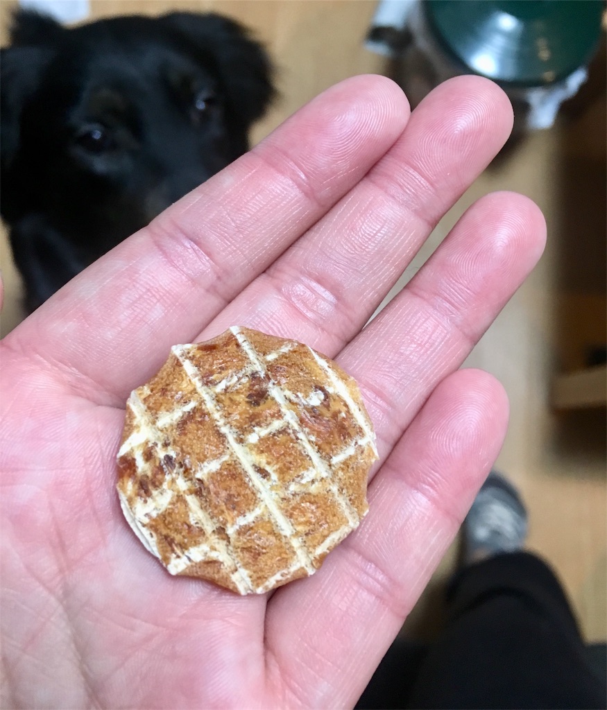 f:id:inu0813:20190120191609j:image f:id:inu0813:20190120191609j:image