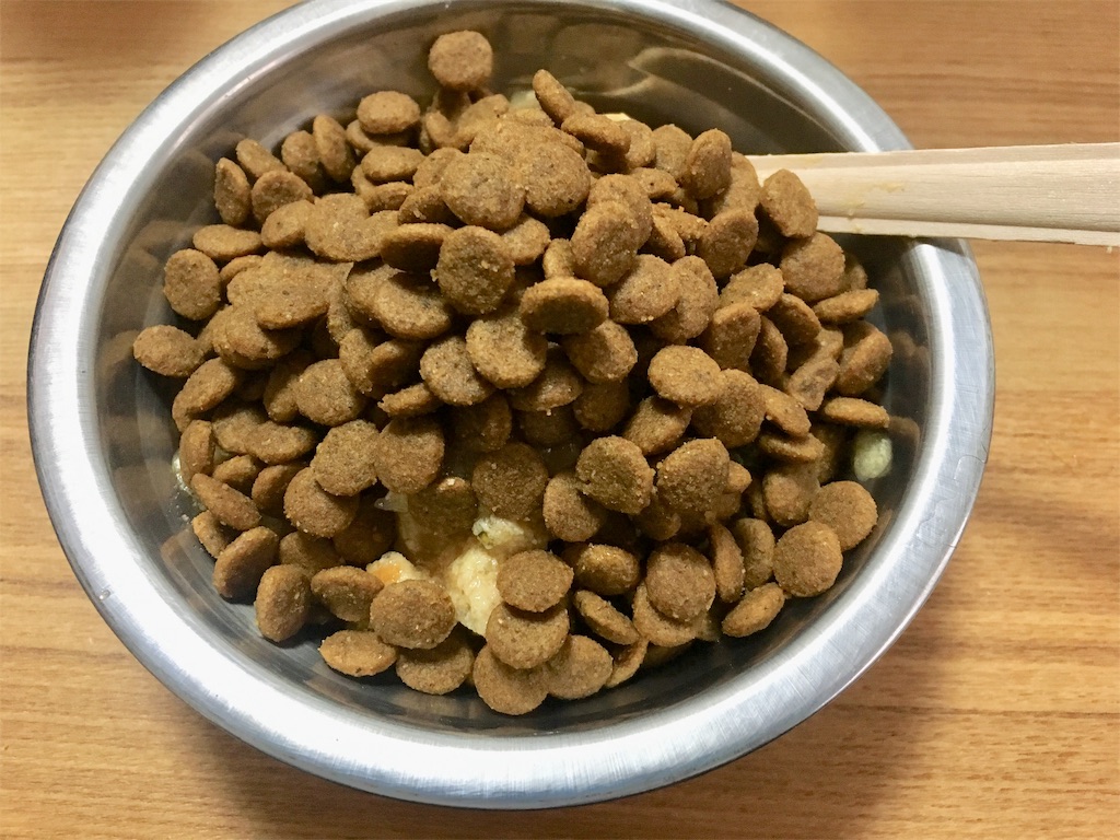 f:id:inu0813:20190120191939j:image f:id:inu0813:20190120191939j:image