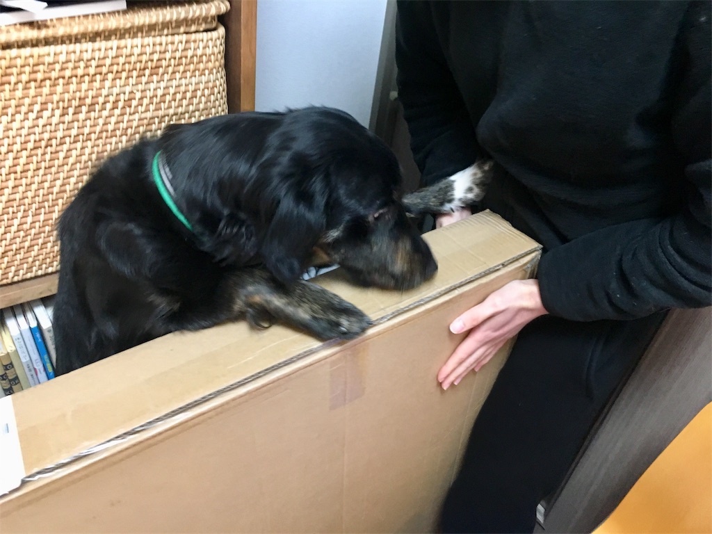 f:id:inu0813:20190120192354j:image f:id:inu0813:20190120192354j:image