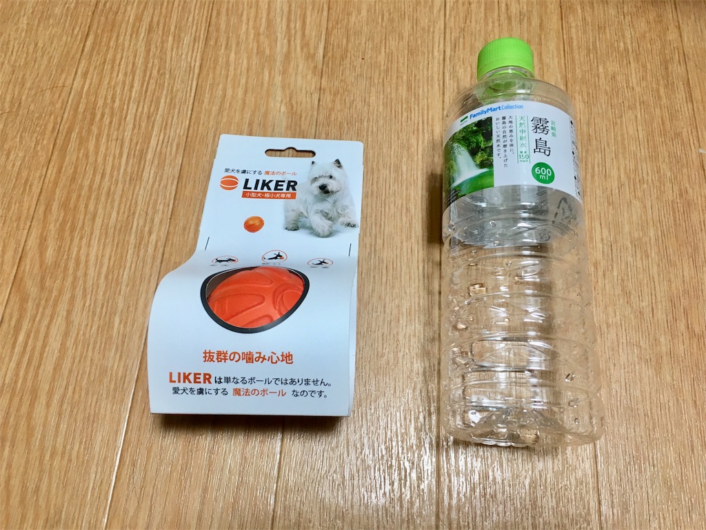 f:id:inu0813:20190120195149j:image f:id:inu0813:20190120195149j:image