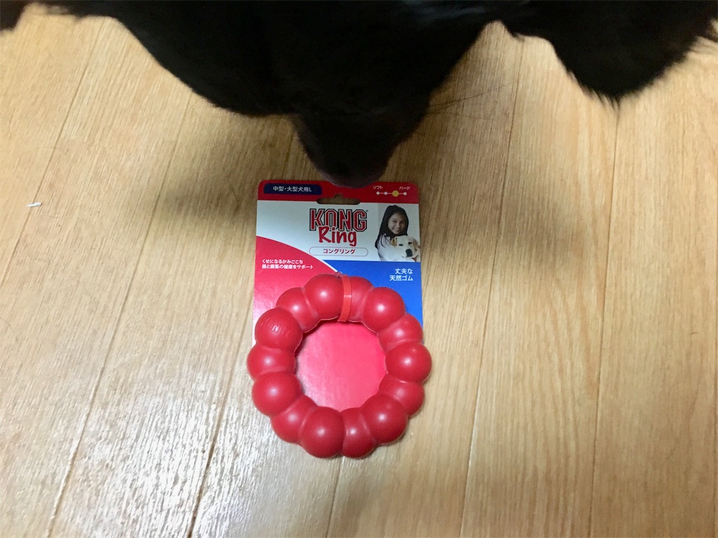 f:id:inu0813:20190416231236j:image f:id:inu0813:20190416231236j:image