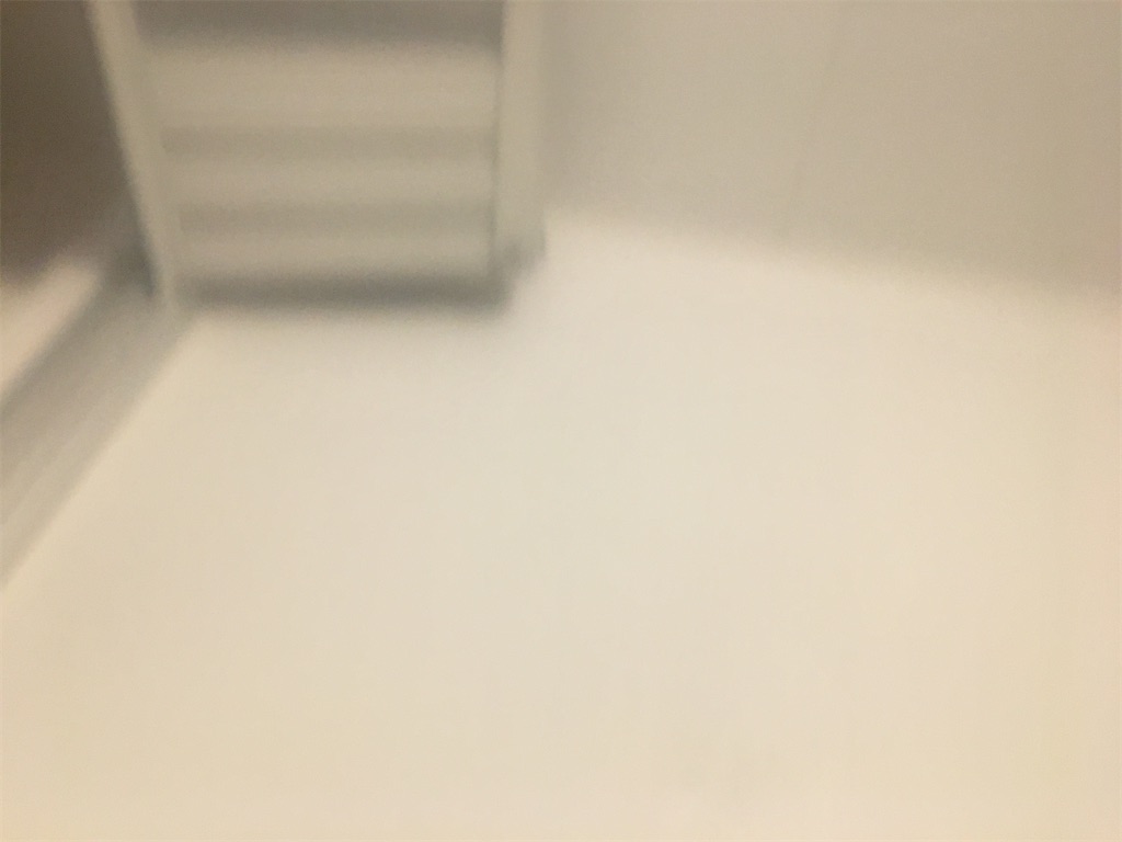 f:id:inu0813:20200614104754j:image