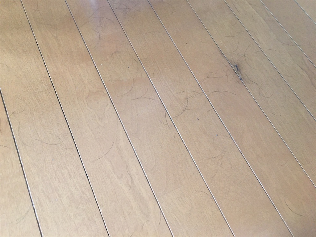 f:id:inu0813:20200710123550j:image