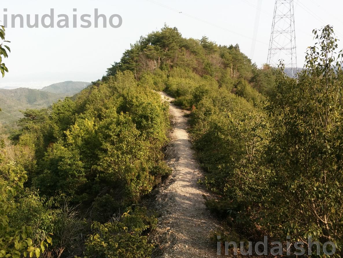 f:id:inudaisho:20190410194924j:plain f:id:inudaisho:20190410194924j:plain