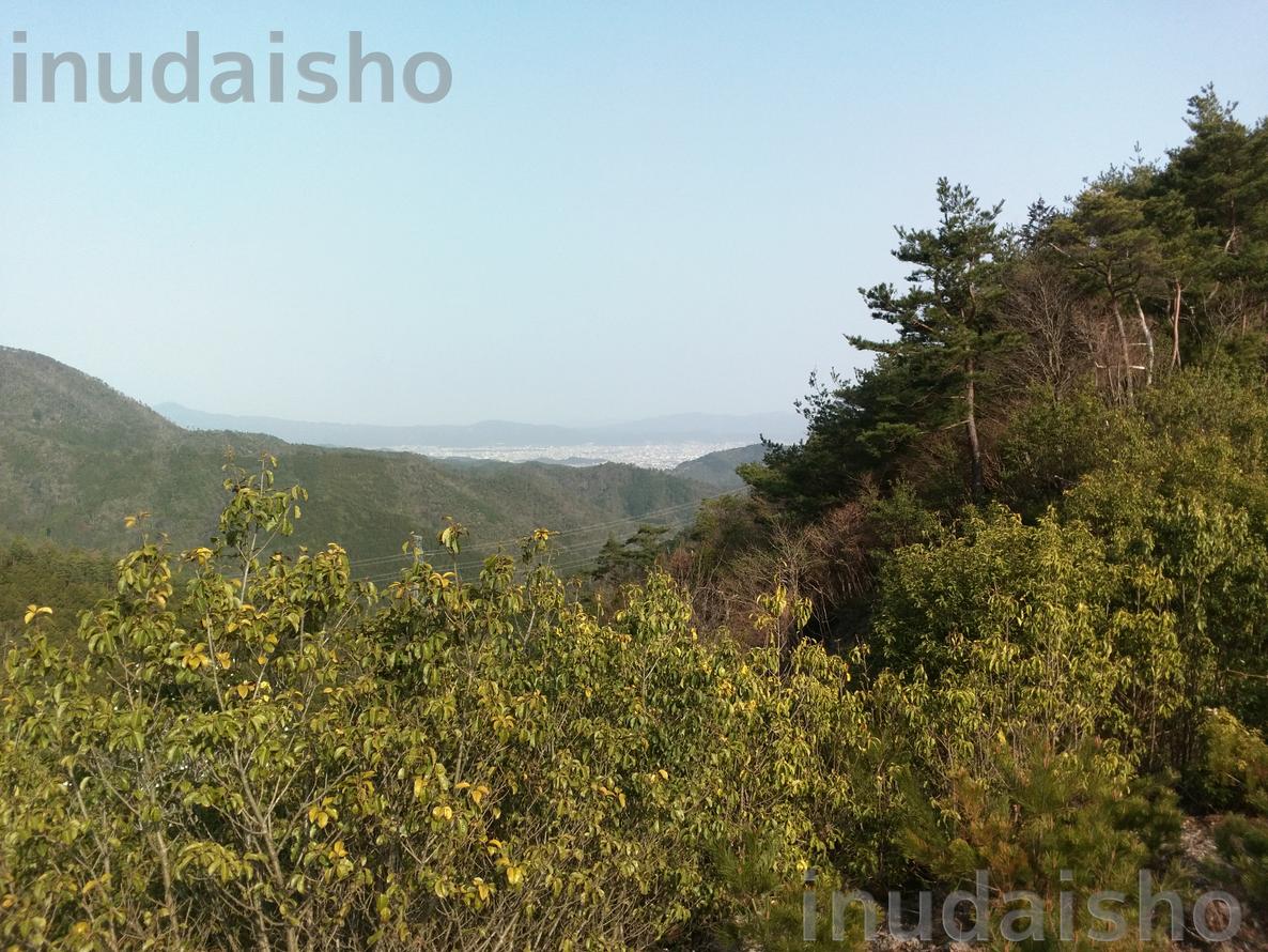 f:id:inudaisho:20190411150552j:plain f:id:inudaisho:20190411150552j:plain