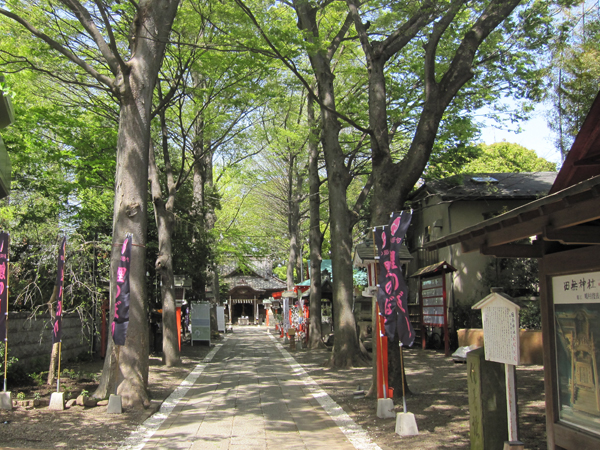 f:id:inudenchi:20160808164338j:plain