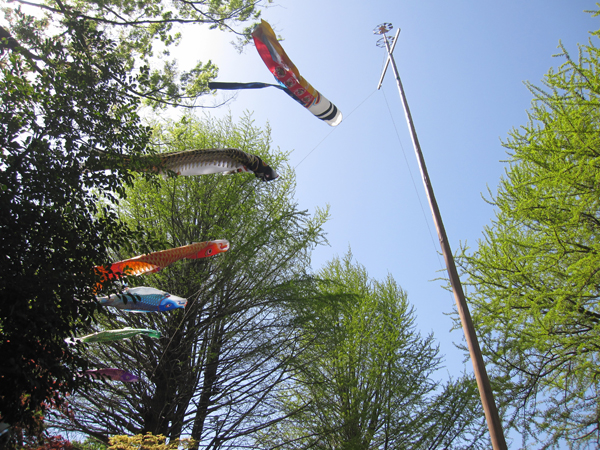 f:id:inudenchi:20160808164511j:plain