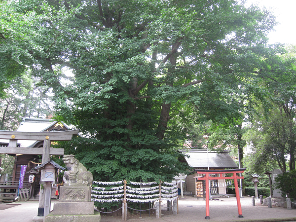 f:id:inudenchi:20160808185114j:plain