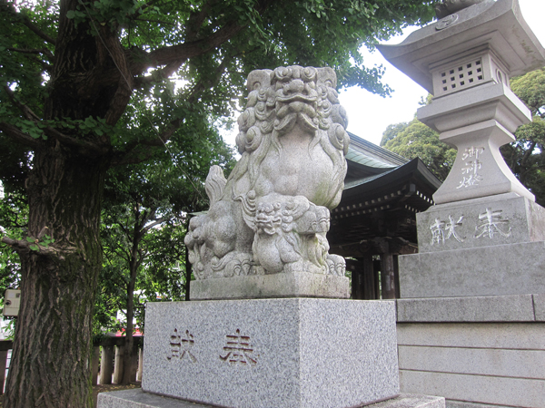 八幡大神社の左の狛犬