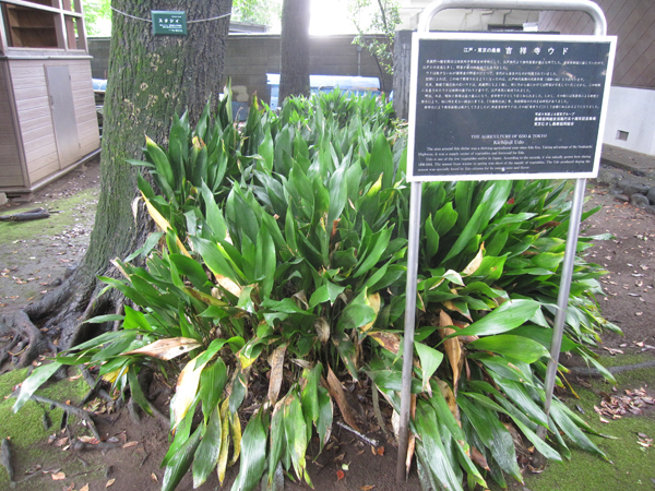 f:id:inudenchi:20160809221932j:plain