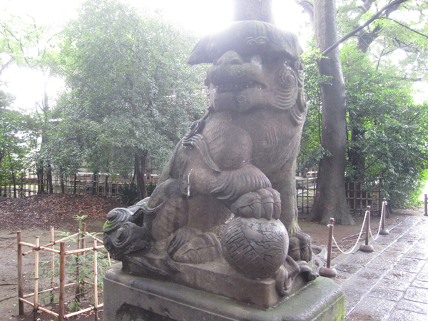 武蔵野八幡宮の左の狛犬
