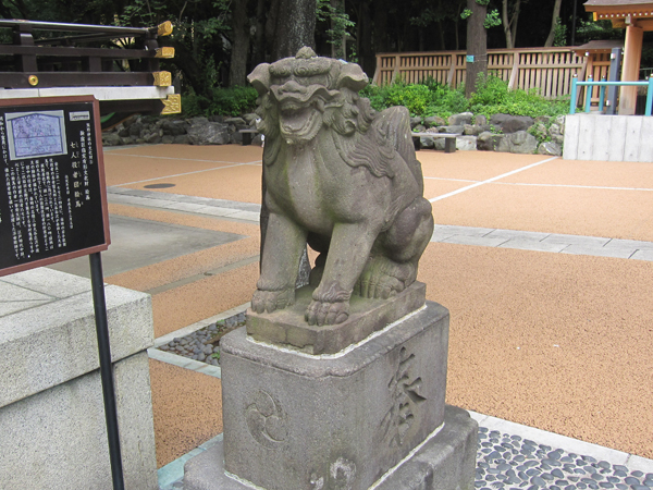 新宿熊野神社の右の狛犬