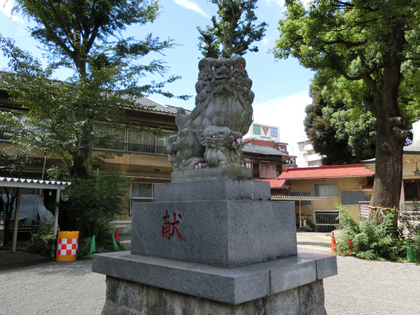 荻窪白山神社の左の狛犬