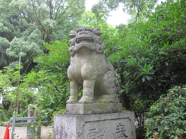 報徳二宮神社の右の狛犬