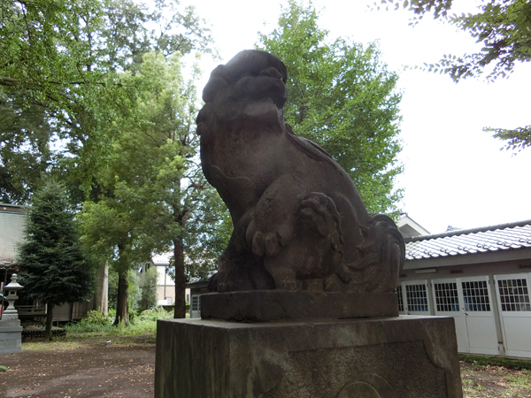 三鷹神明社の右の狛犬