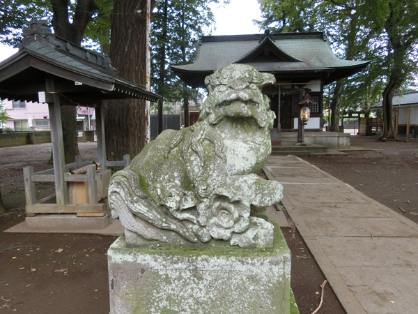 井口八幡神社の左の狛犬